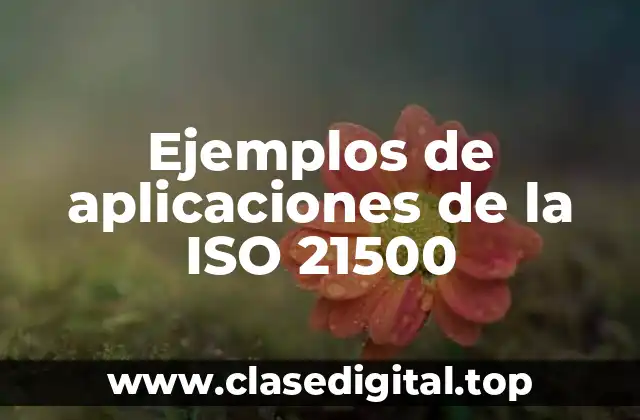 Ejemplos de aplicaciones de la ISO 21500