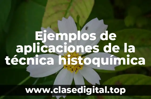 Ejemplos de aplicaciones de la técnica histoquímica
