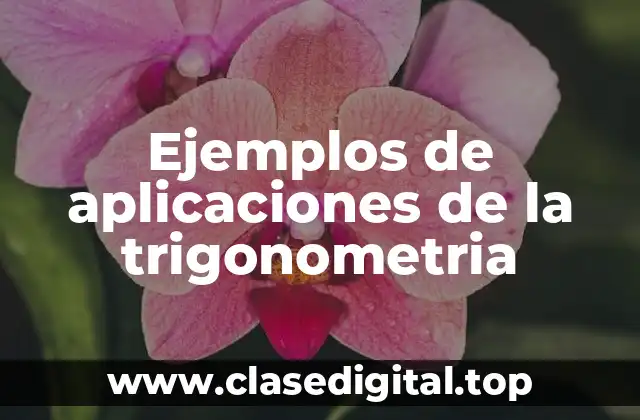 Ejemplos de aplicaciones de la trigonometria