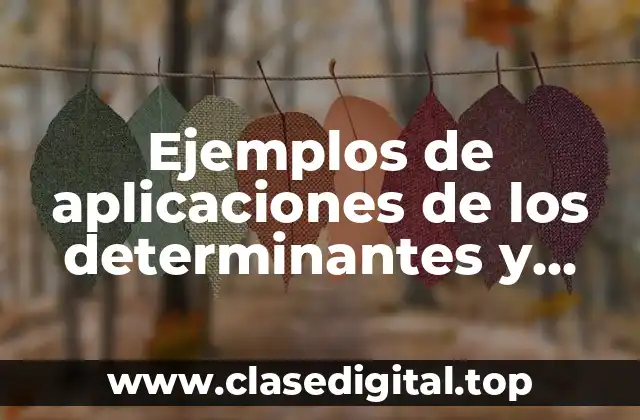 Ejemplos de aplicaciones de los determinantes y Significado