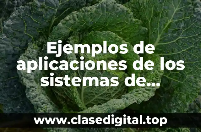 Ejemplos de aplicaciones de los sistemas de información estratégicos