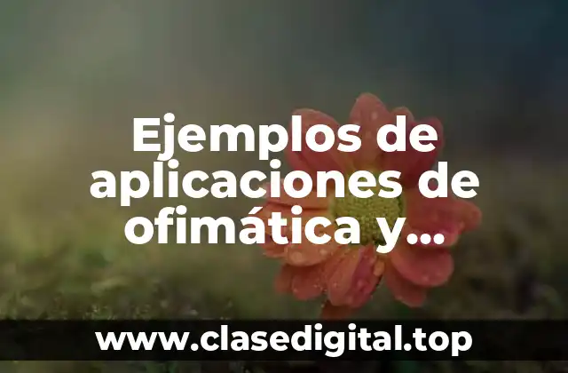 Ejemplos de aplicaciones de ofimática y Significado
