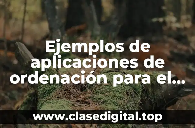 Ejemplos de aplicaciones de ordenación para el software