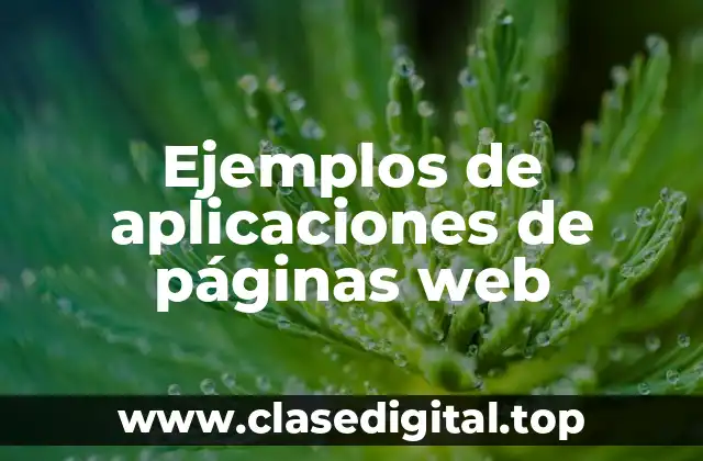 Ejemplos de aplicaciones de páginas web