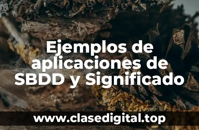 Ejemplos de aplicaciones de SBDD y Significado