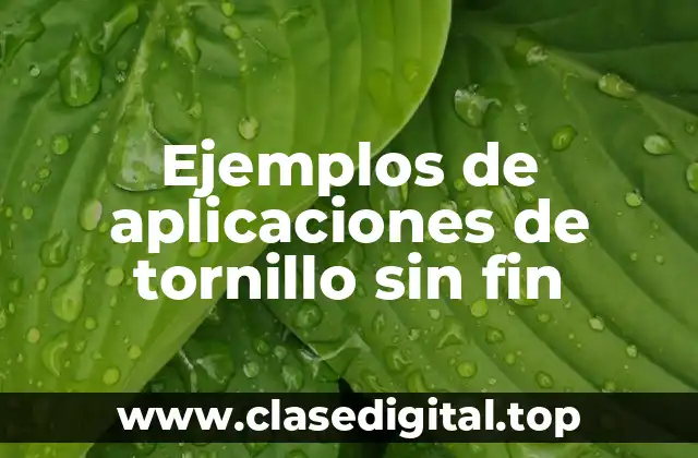 Ejemplos de aplicaciones de tornillo sin fin