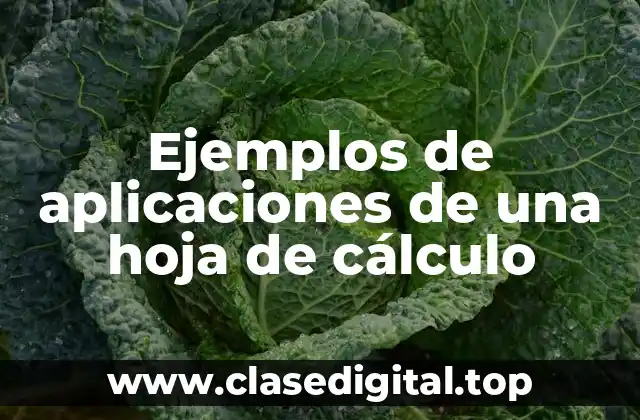 Ejemplos de aplicaciones de una hoja de cálculo