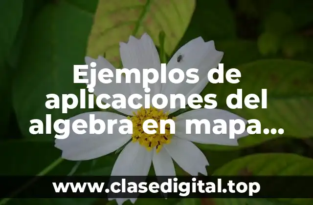 Ejemplos de aplicaciones del algebra en mapa mental