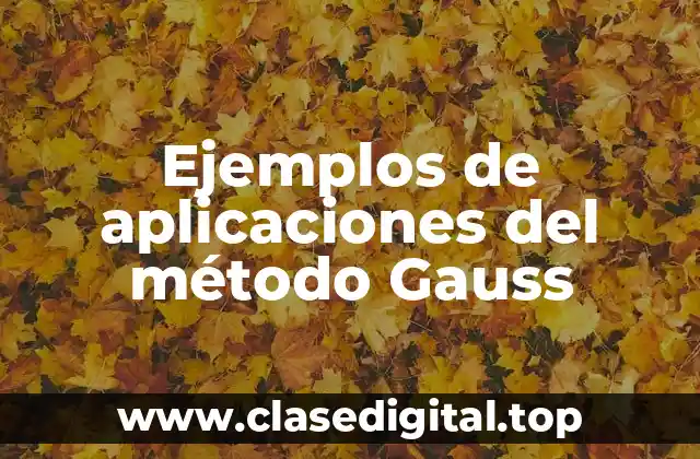 Ejemplos de aplicaciones del método Gauss