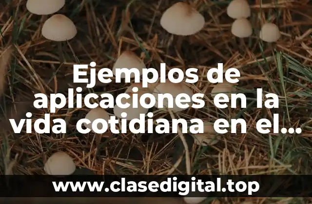 Ejemplos de aplicaciones en la vida cotidiana