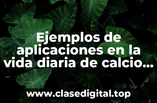 Ejemplos de aplicaciones en la vida diaria de calcio y Significado