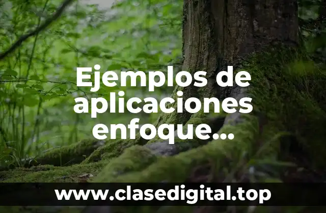 Ejemplos de aplicaciones enfoque determinístico