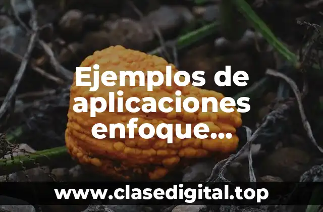 Ejemplos de aplicaciones enfoque determinísticos y Significado