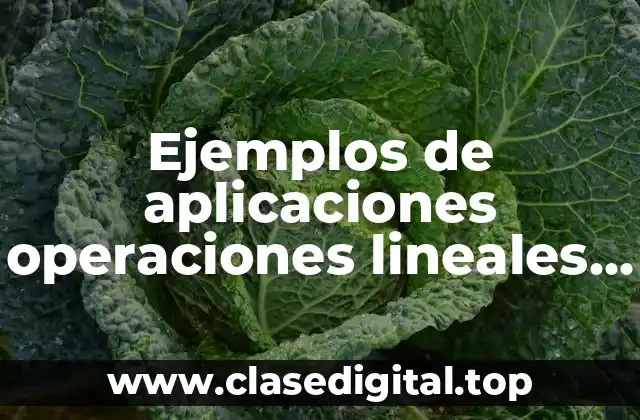 Ejemplos de aplicaciones operaciones lineales algebra