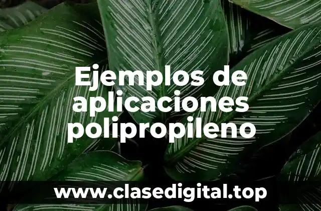 Ejemplos de aplicaciones polipropileno