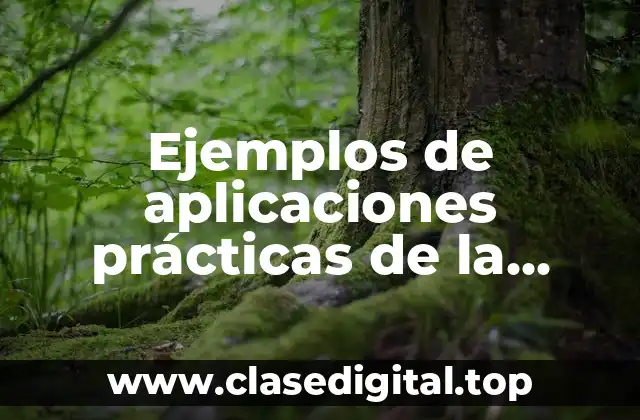 Ejemplos de aplicaciones prácticas de la investigación del desarrollo humano