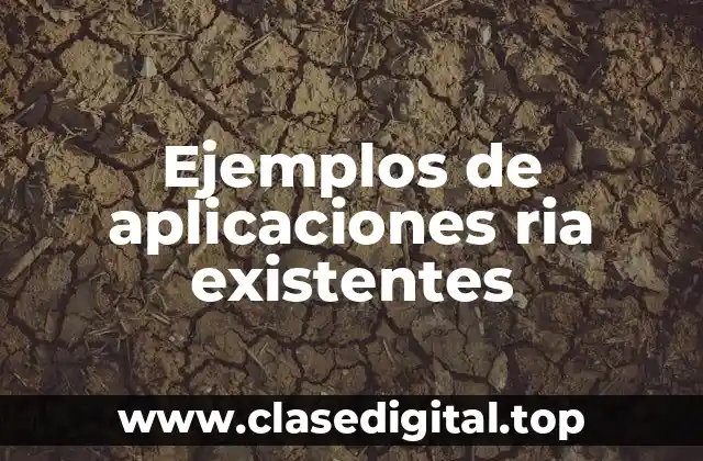 Ejemplos de aplicaciones ria existentes