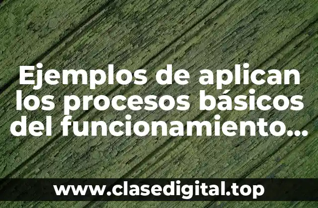 Ejemplos de aplicar los procesos básicos del funcionamiento celular