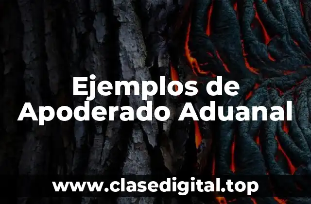 Ejemplos de Apoderado Aduanal
