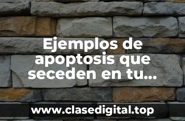 Ejemplos de apoptosis que seceden en tu cuerpo