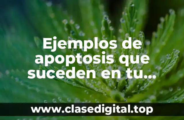 Ejemplos de apoptosis que suceden en tu cuerpo