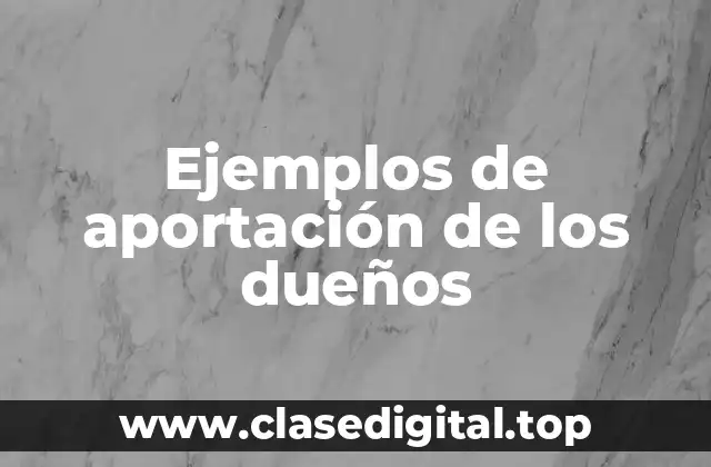 Ejemplos de aportación de los dueños