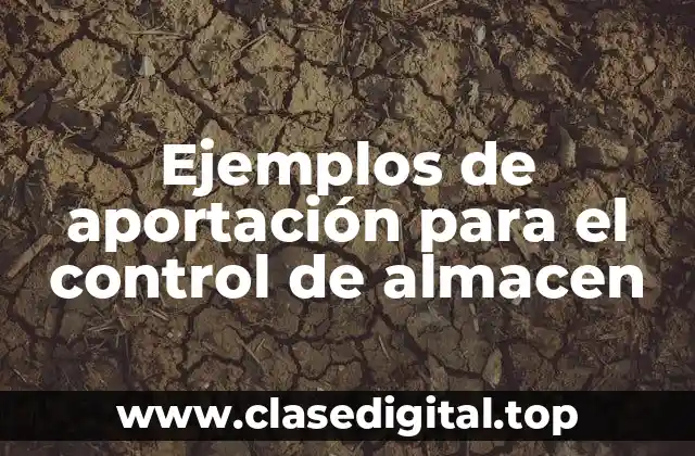 Ejemplos de aportación para el control de almacen