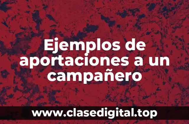 Ejemplos de aportaciones a un campañero