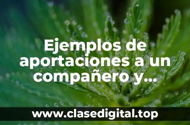 Ejemplos de aportaciones a un compañero