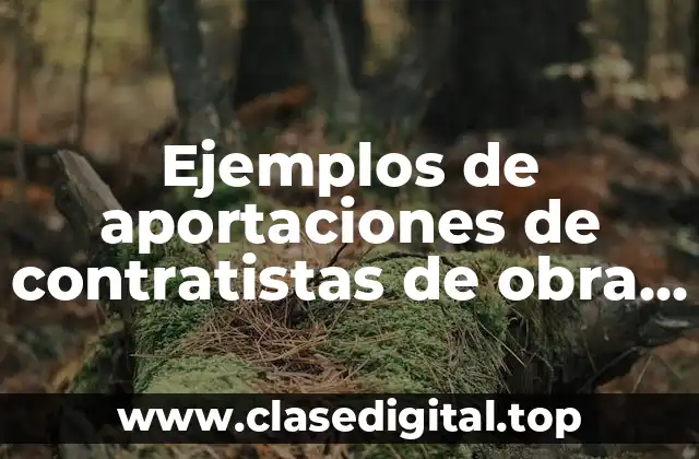 Ejemplos de aportaciones de contratistas de obra pública
