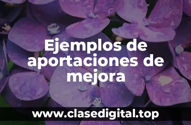 Ejemplos de aportaciones de mejora