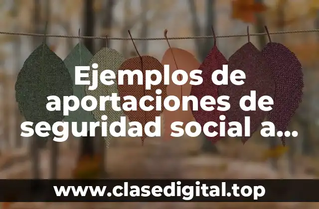 Ejemplos de aportaciones de seguridad social a nivel municipal