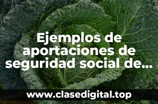 Ejemplos de aportaciones de seguridad social de personas sustituidas