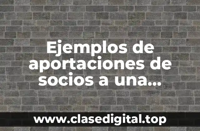 Ejemplos de aportaciones de socios a una empresa