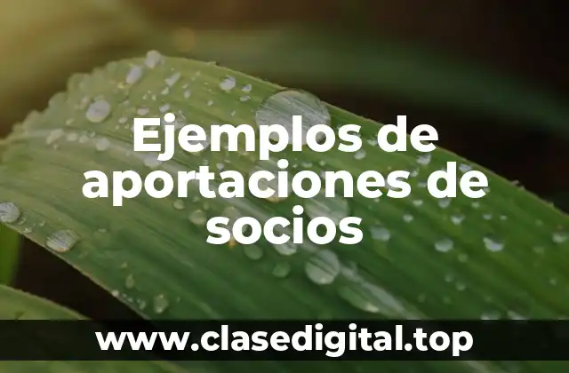 Ejemplos de aportaciones de socios