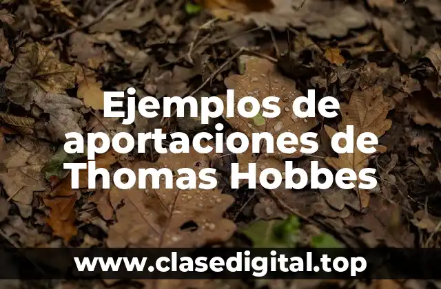 Ejemplos de aportaciones de Thomas Hobbes