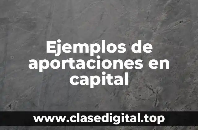 Ejemplos de aportaciones en capital