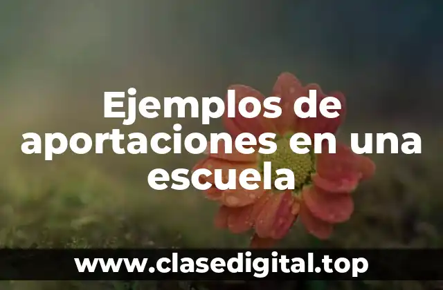 Ejemplos de aportaciones en una escuela