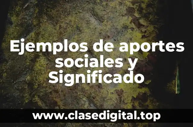 Ejemplos de aportes sociales y Significado