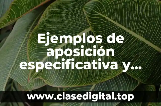 Ejemplos de aposición especificativa y Significado