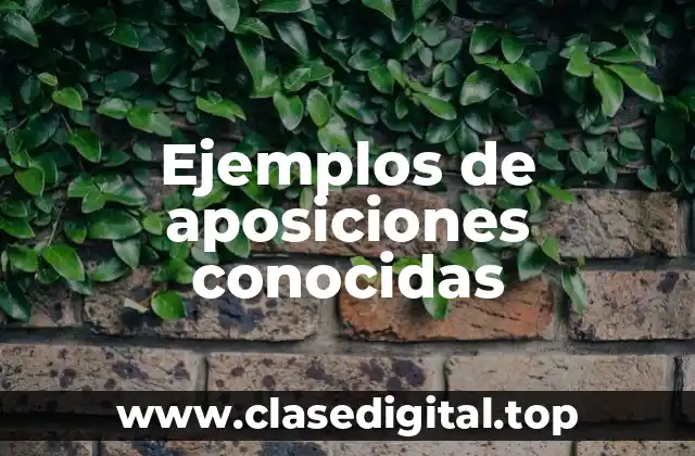 Ejemplos de aposiciones conocidas
