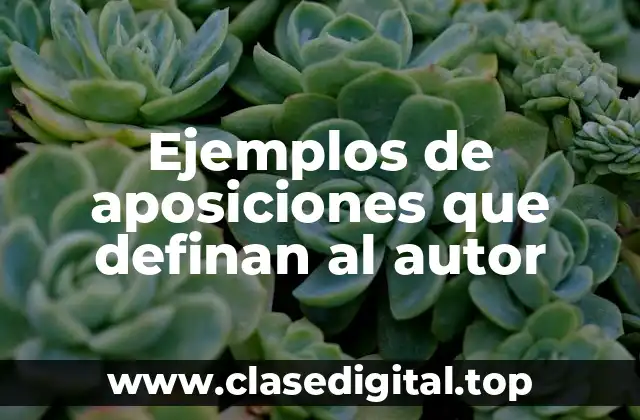 Ejemplos de aposiciones que definan al autor