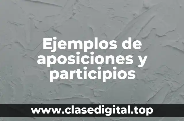Ejemplos de aposiciones y participios
