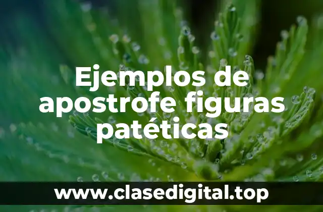 Ejemplos de apostrofe figuras patéticas