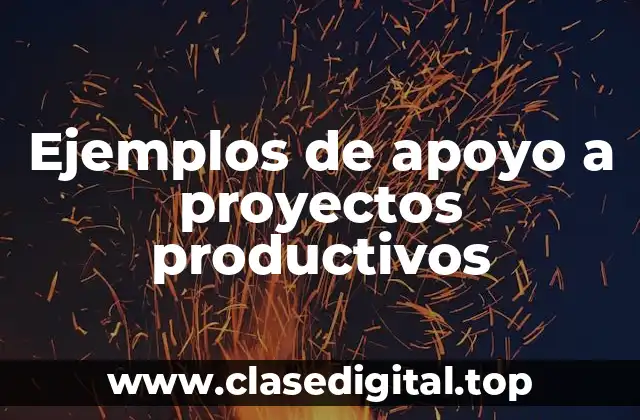 Ejemplos de apoyo a proyectos productivos