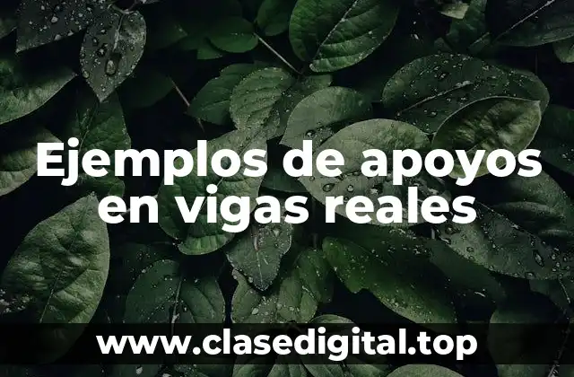Ejemplos de apoyos en vigas reales