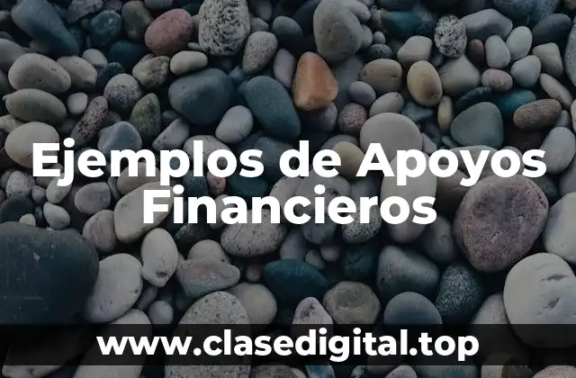 Ejemplos de Apoyos Financieros