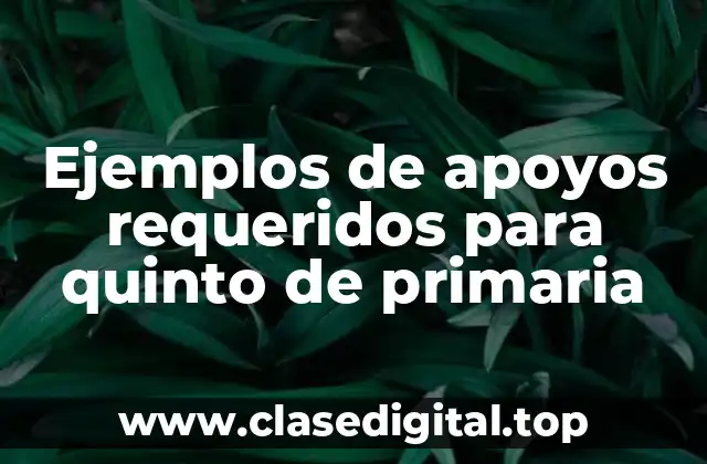 Ejemplos de apoyos requeridos para quinto de primaria