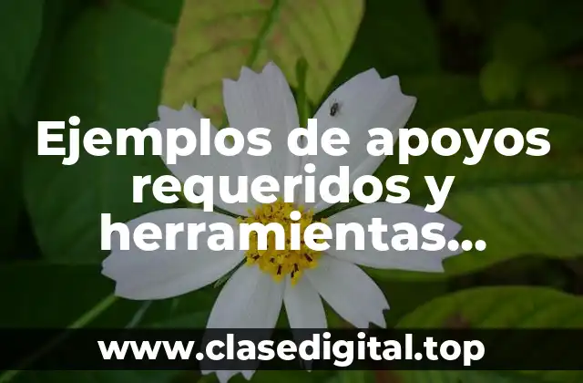 Ejemplos de apoyos requeridos y herramientas fundamentales y Significado