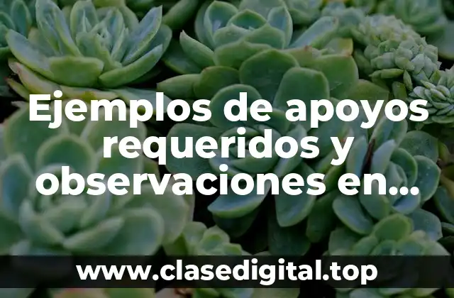 Ejemplos de apoyos requeridos y observaciones en preescolar